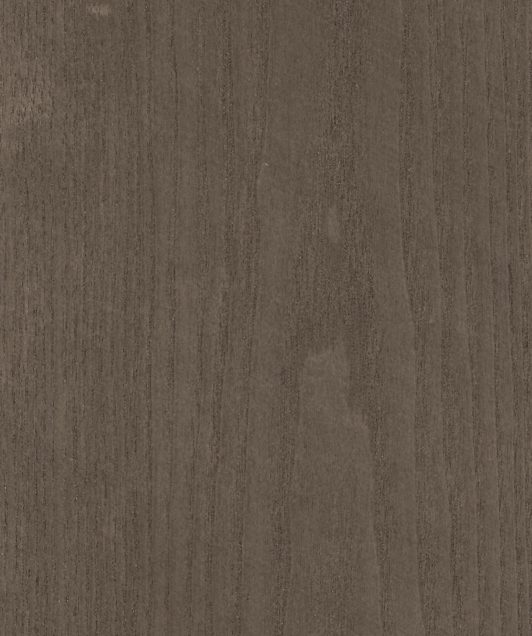Dye-A-Log Natural Dyed Ash 081 real material sample - straight grain veneer