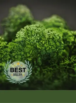 Hydra Basilico real material sample - deep basil-green reindeer moss