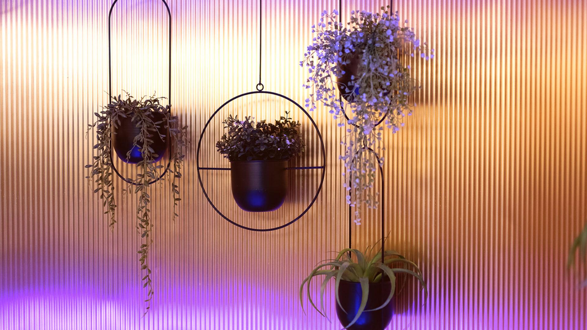 Close-up of Elements fluted brass laminate wall with hanging planters