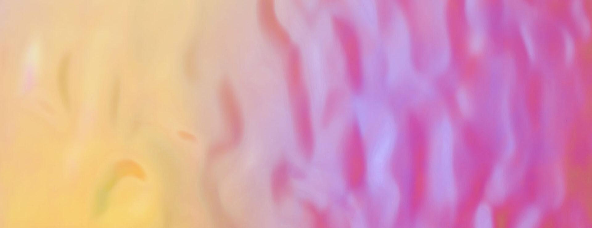 Elements Oceano Pink Sunset real material sample - liquid distortion weave laminate